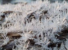 冬の天気の特徴とは？ 霜・霜柱・氷柱（つらら）とは？