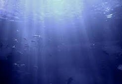 深海での海水のはたらきとは？海底地すべり・海底風化とは？
