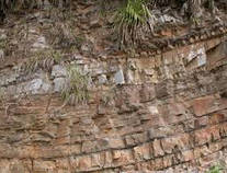 堆積岩の特徴とは？堆積岩の大分けとは？ わかりやすく解説！